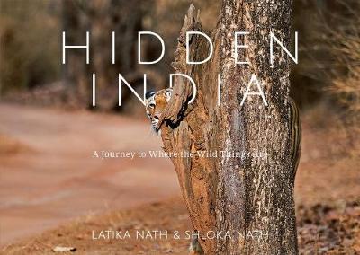 Book cover for Hidden India