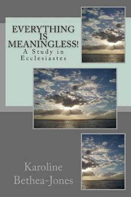 Book cover for Everything Is Meaningless!