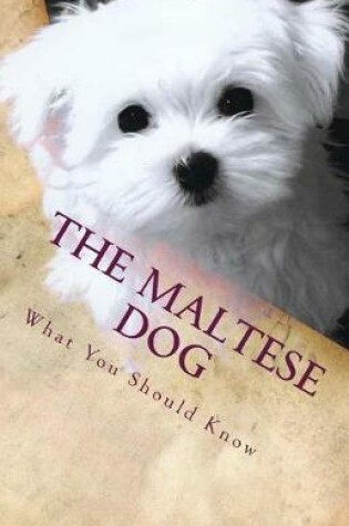 Cover of The Maltese Dog