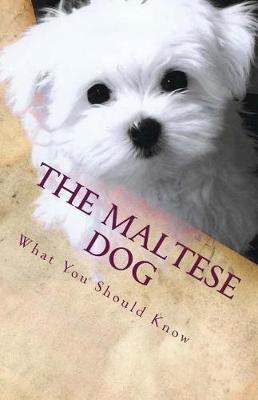 Book cover for The Maltese Dog