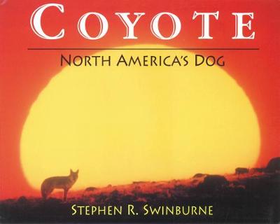 Book cover for Coyote