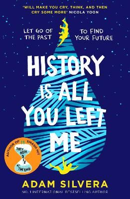 Book cover for History Is All You Left Me