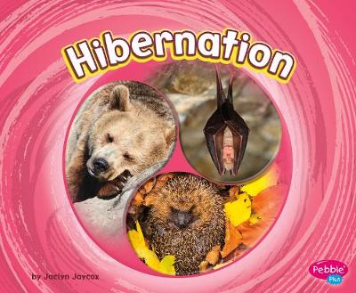 Cover of Hibernation