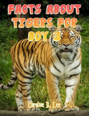 Book cover for Facts About Tigers For Boy 3