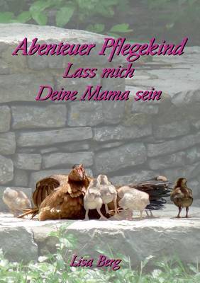 Book cover for Abenteuer Pflegekind