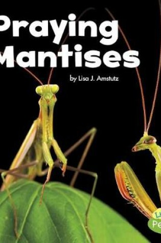 Cover of Praying Mantises (Little Critters)