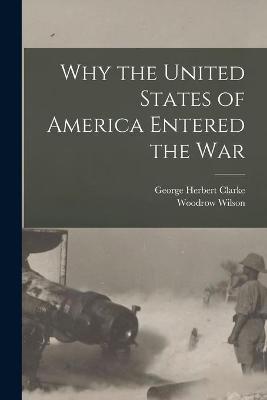 Book cover for Why the United States of America Entered the War [microform]