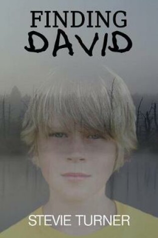 Cover of Finding David