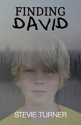 Book cover for Finding David