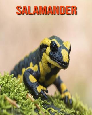 Book cover for Salamander