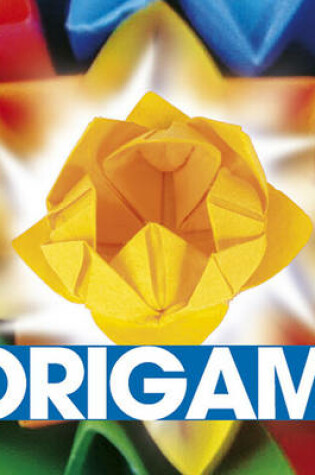 Cover of Saucy Origami