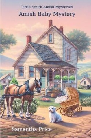 Cover of Amish Baby Mystery