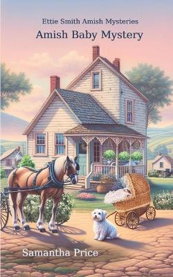 Cover of Amish Baby Mystery