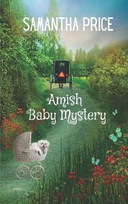 Book cover for Amish Baby Mystery