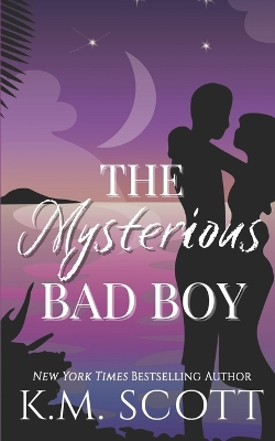Book cover for The Mysterious Bad Boy