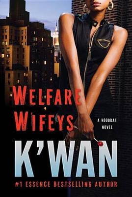 Book cover for Welfare Wifeys