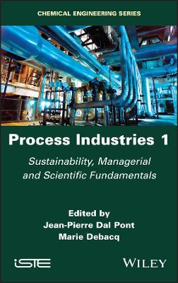 Book cover for Process Industries 1