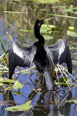 Book cover for Anhinga Bird Journal (Snakebird)