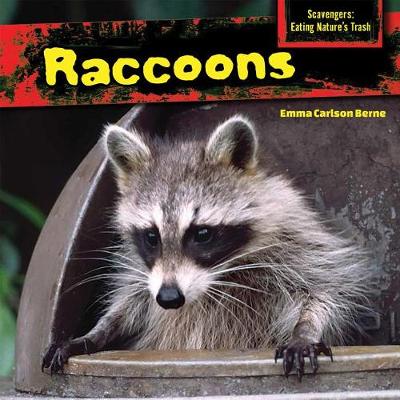 Book cover for Raccoons