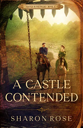 Cover of A Castle Contended