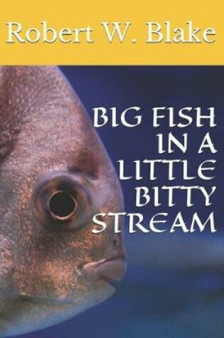 Cover of Big Fish in a Little Bitty Stream