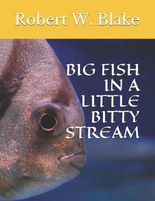 Book cover for Big Fish in a Little Bitty Stream