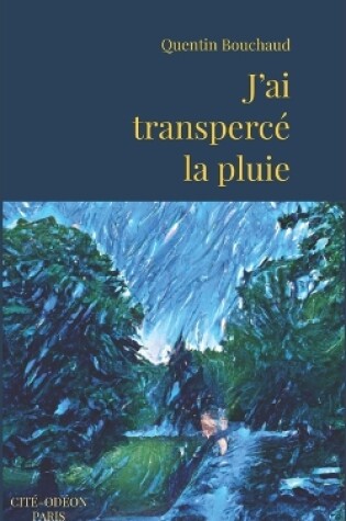 Cover of J'ai transpercé la pluie