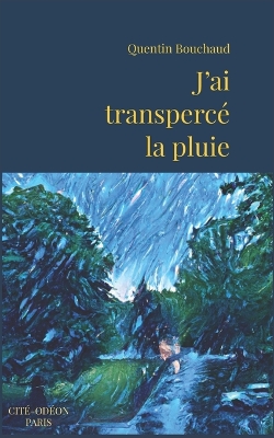 Cover of J'ai transpercé la pluie