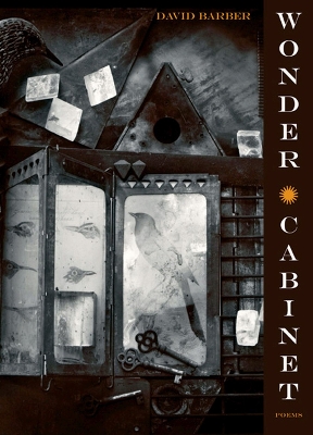 Book cover for Wonder Cabinet