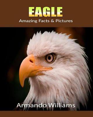 Book cover for Eagle