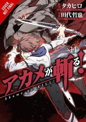 Book cover for Akame ga Kill!, Vol. 14