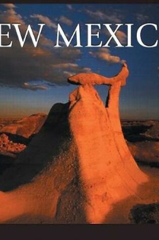 Cover of New Mexico