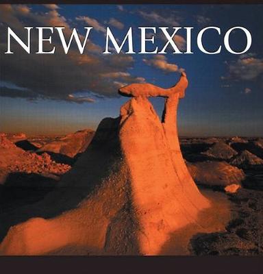 Book cover for New Mexico