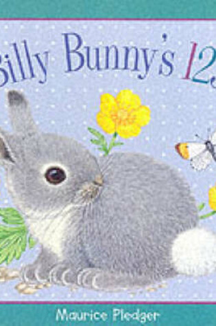 Cover of Billy Bunny's 123