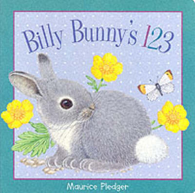 Cover of Billy Bunny's 123