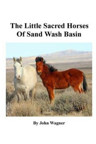 Cover of Little Sacred Horses of Sand Wash Basin