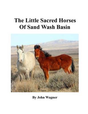 Book cover for Little Sacred Horses of Sand Wash Basin