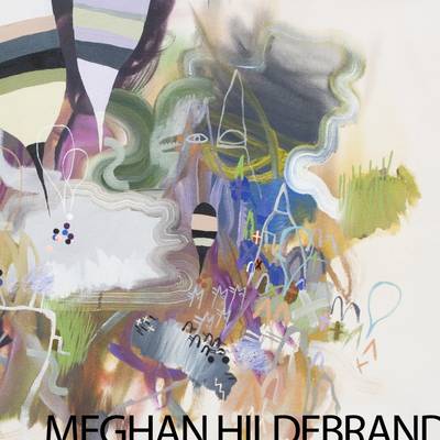 Book cover for Meghan Hildebrand: Next Year