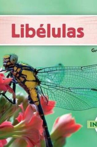 Cover of Libelulas