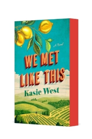 Cover of We Met Like This