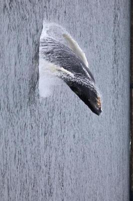 Book cover for Humpback Whale Breeching Off the Alaskan Coast Journal