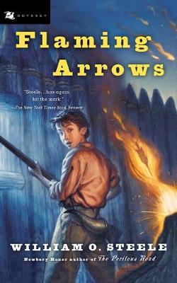 Book cover for Flaming Arrows