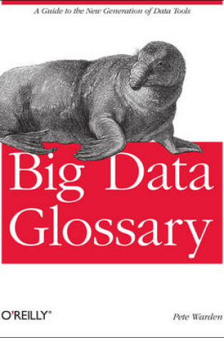 Cover of Big Data Glossary