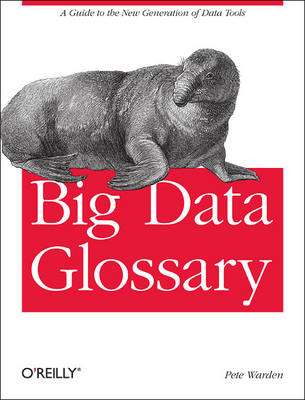 Book cover for Big Data Glossary