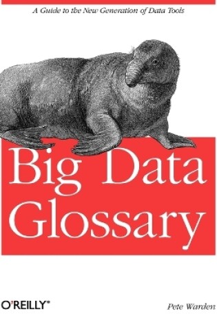 Cover of Big Data Glossary