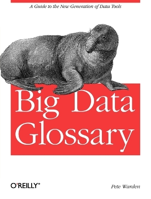 Book cover for Big Data Glossary