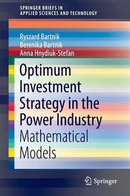 Book cover for Optimum Investment Strategy in the Power Industry