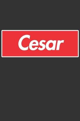 Book cover for Cesar