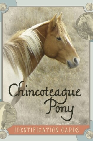 Cover of Chincoteague Pony Identification Cards