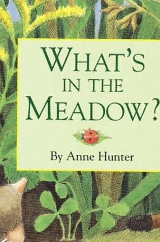 Cover of What's in the Meadow?